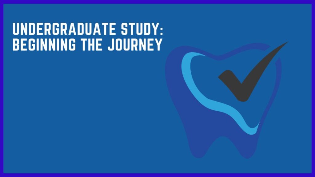 Undergraduate Study: Beginning The Journey