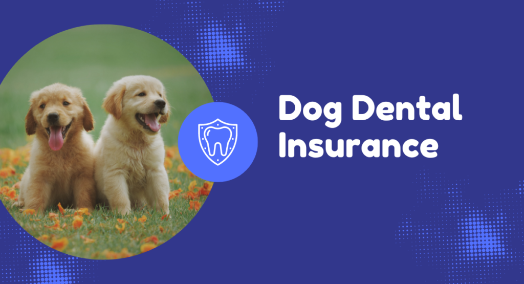 Dog Dental Insurance