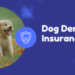 Dog Dental Insurance